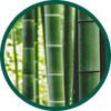 Benefit Icon