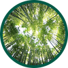 Benefit Icon